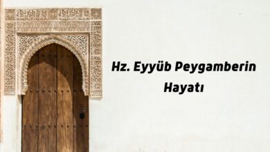 Photo of Sabrıyla insanlığa örnek olan peygamber: Hz. Eyyûb (A.s)