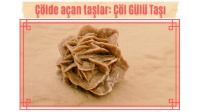 Photo of Çöl Gülü: Çölde açan taşlar